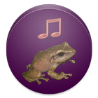Coqui Ringtone icon