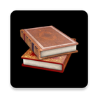 AoE 2 Database icon