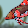 ”Cupangerz: Adu Ikan Cupang