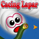 WORM ZONE : GAME CACING LAPAR APK