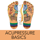 Learn Acupressure Basics 图标