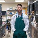 Consulta Veterinario Online APK