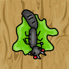 Ant Squash icon