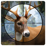 Chasse au cerfs 2017 - Cerf Ch