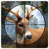 Chasse au cerfs 2017 - Cerf Ch