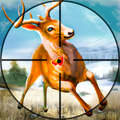 Jungle Deer Hunting