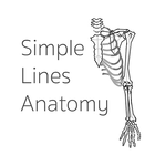 Simple Lines Anatomy आइकन