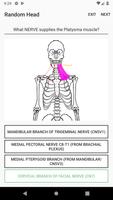 Simple Lines Anatomy स्क्रीनशॉट 2