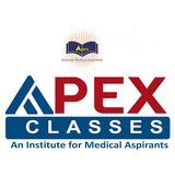 Apex Classes ikon