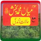 Kalam Mian Muhammad Bakhsh RA icon