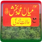Kalam Mian Muhammad Bakhsh RA Zeichen