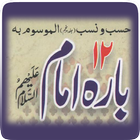 12 Imam A.S(Urdu Islamic Book) icône