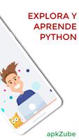 Learn Python Programming - Spanish (NO ADS) capture d'écran 1