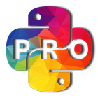 Learn Python PRO - ApkZube icono