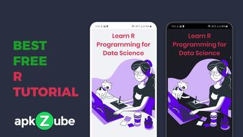 Learn R Tutorial - PRO poster