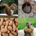 4 Photos 1 Word - Guess the Word