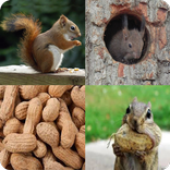 4 Photos 1 Word - Guess the Word