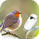Apito para Passaros APK