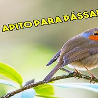 Apito para Passaros Cartaz
