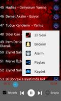 Turkish POP Music 75 songs OFFLİNE স্ক্রিনশট 2