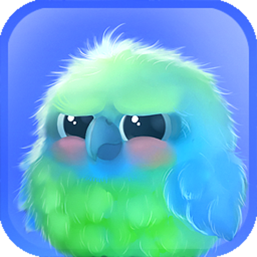 Kiwi The Parrot