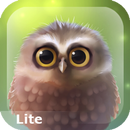 Little Owl Lite APK