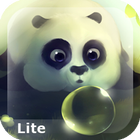 Panda Dumpling Lite icône