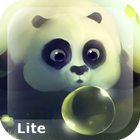 Panda Dumpling Lite 图标