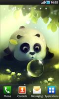 Panda Dumpling Lite Affiche