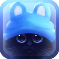 Yin The Cat
