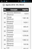 Informe Gastos Diarios تصوير الشاشة 2