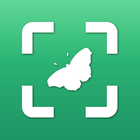 Insect Identifier - The Buggy App-icoon