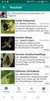 Insect Identifier - The Buggy App screenshot 1