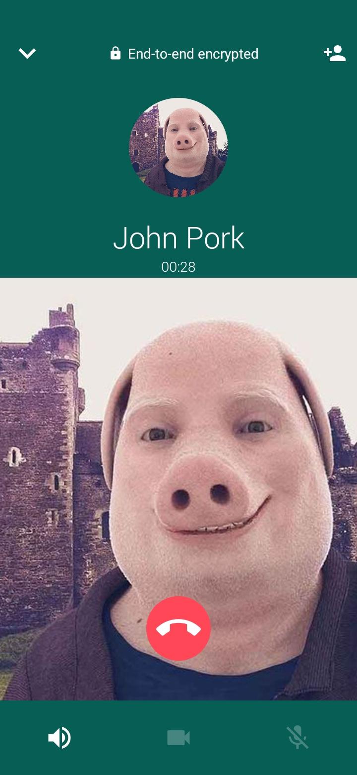 John Pork is Calling安卓版應用APK下載