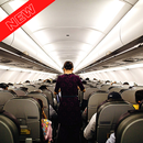 Become a Flight Attendant - Guide to study APK