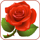 Rose Love Stickers icône