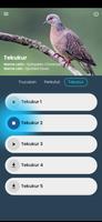 Trucukan Gacor screenshot 3