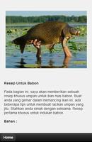 Umpan Ikan Emas Lengkap স্ক্রিনশট 2