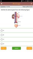 NTSE Quiz 截圖 3