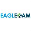 eaglEXAM