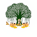 GURUKUL ACADEMY CHHINDWARA APK