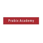 Prabix Academy biểu tượng