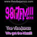 The Vibe Jamz APK