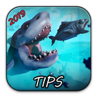 feed and grow fish - New Guide icône