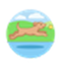 TrainYourPet APK