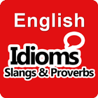 English Idioms Slangs & Prover icône