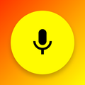 Pro Transcriber