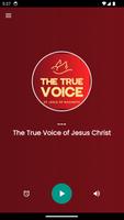 The True Voice of Jesus poster