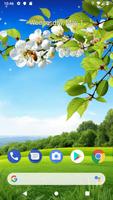 Түсқағаздар - Обои телефон 2019 Poster