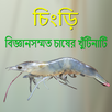 Chingri - চিংড়ি  - বিজ্ঞান সম্ APK